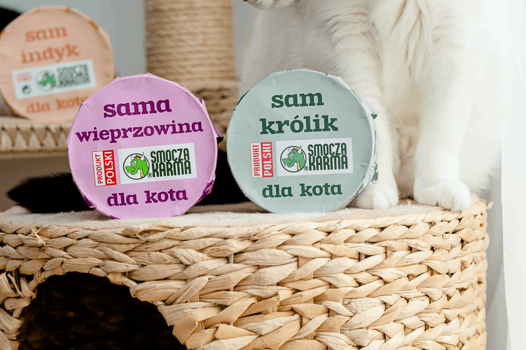 Kot przy misce z naturalną karmą