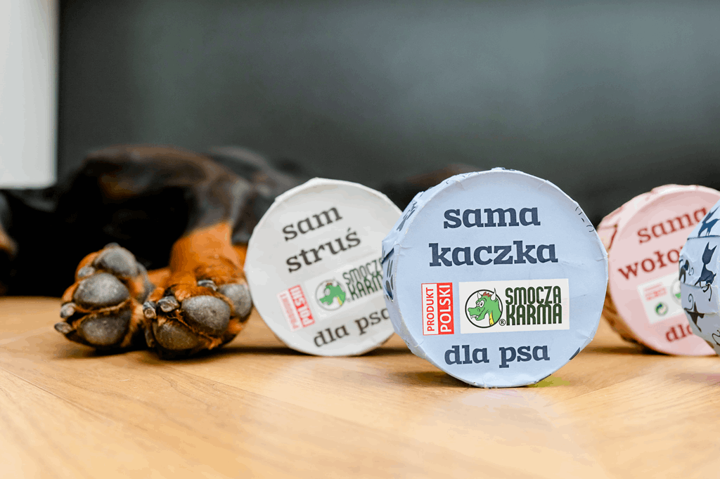 Pies przy misce z karmą